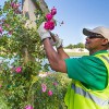 SSC Service Solutions