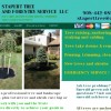 Stapert Tree & Forestry Service