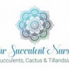 Star Succulent Nursery