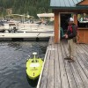 Statewide Land Surveying