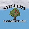 Steel City Landscape
