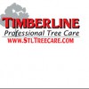 Timberline Professional Tree Care