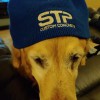 Stp Concrete