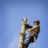 Strongsville Tree Service