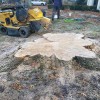 STS Stump Removal