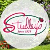 Studley Flower Gardens