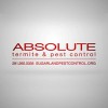 Absolute Termite & Pest Control