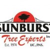 Sunburst Tree Experts