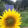 Sunnyside Solar Energy
