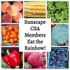Sunscape Farms