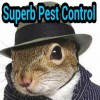 Superb Pest Control