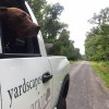 Superior Yardscapes