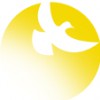 Support Systems Homes