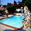 Swimming Pool Inspection Services