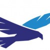Alpine Designers & Builders