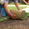 Synthetic Turf & Services