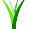 Synthetic Turf Of Illinois