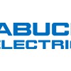 Tabuchi Electric