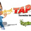 Taps Termite
