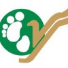 Tara Air