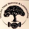 Tavlan Tree Service & Landscaping