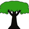 Taylor Lawn Care