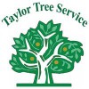 Taylor Tree Services