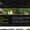 Taylor Tree Service