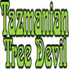 Tazmanian Tree Devil