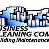The Business Cleaning