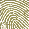 The Cultural Landscape Foundation