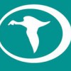Teal Construction