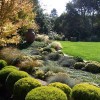 Terra Bella Landscaping