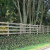 Terran Fence