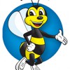 Beeline Pest Control Texas