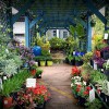 Texas Best Lawn & Landscaping