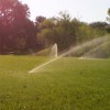 Texas Green Landscape & Irrigation