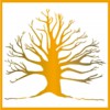 Baum Foundation