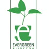 Evergreen Nursery