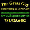 The Grass Guy