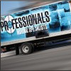 The Professionals Moving Specialists