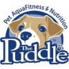 The Puddle