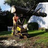 Todd's Tree Service