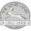 White Hare