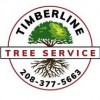 Timberline Tree Service