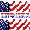 Tint America