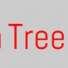 Top Notch Tree Service