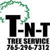 TNT-Tree Service