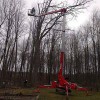 T & T Tree Service