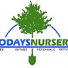 Today's Nursery